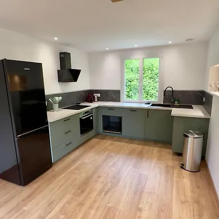 L Envol Maison Entiere * Fellering