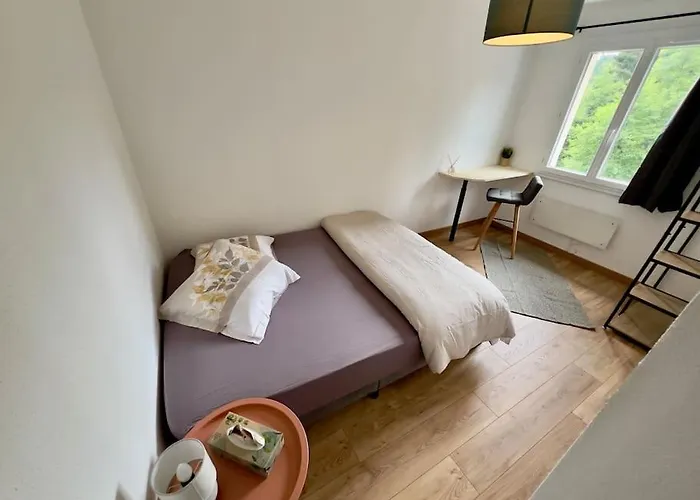 Villa L Envol Maison Entiere Fellering